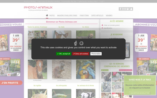 Photos animaux | Photos d’animaux domestiques (chats, chiens, oiseaux, rongeurs, chevaux). cartes virtuelles (ecards), fonds d’écran (wallpapers), forum, petites annonces